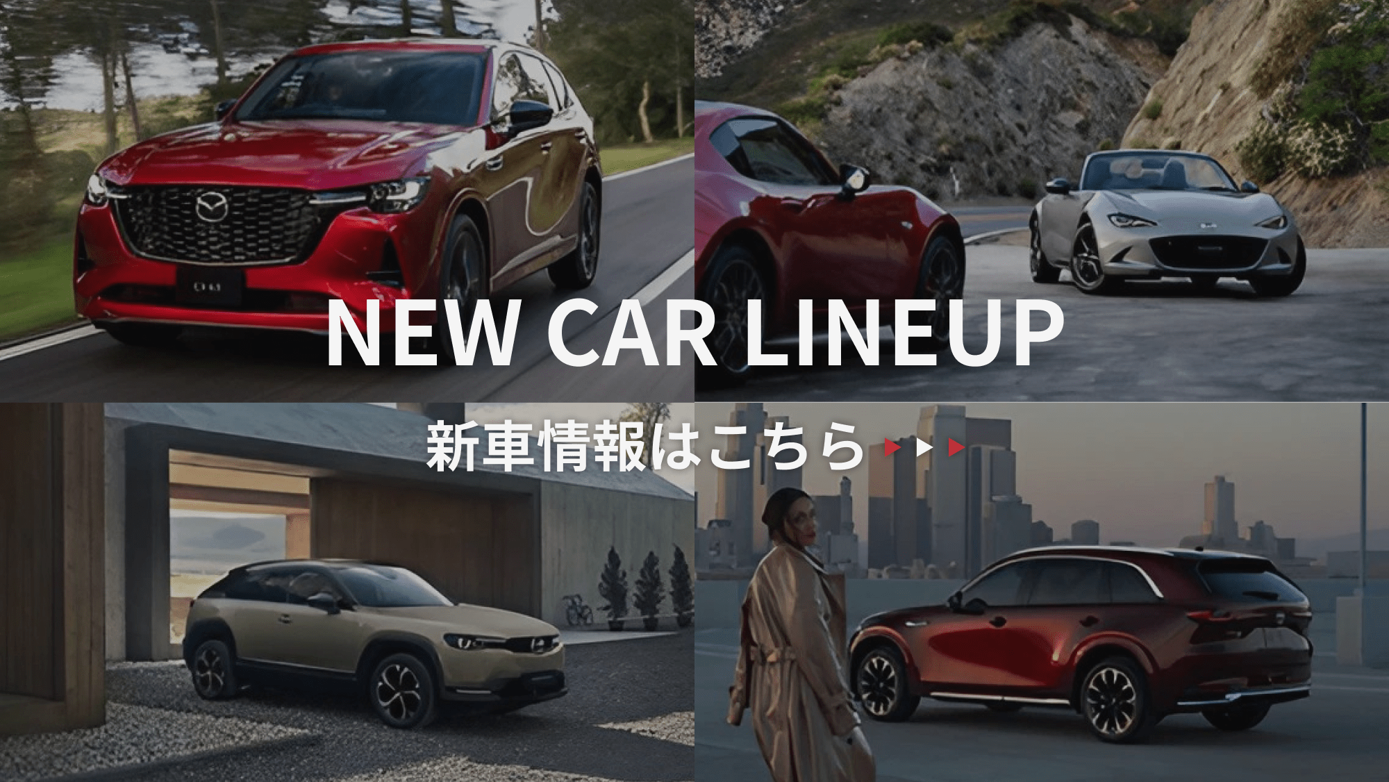 新車情報はこちら